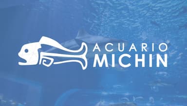 Acuario Michin
